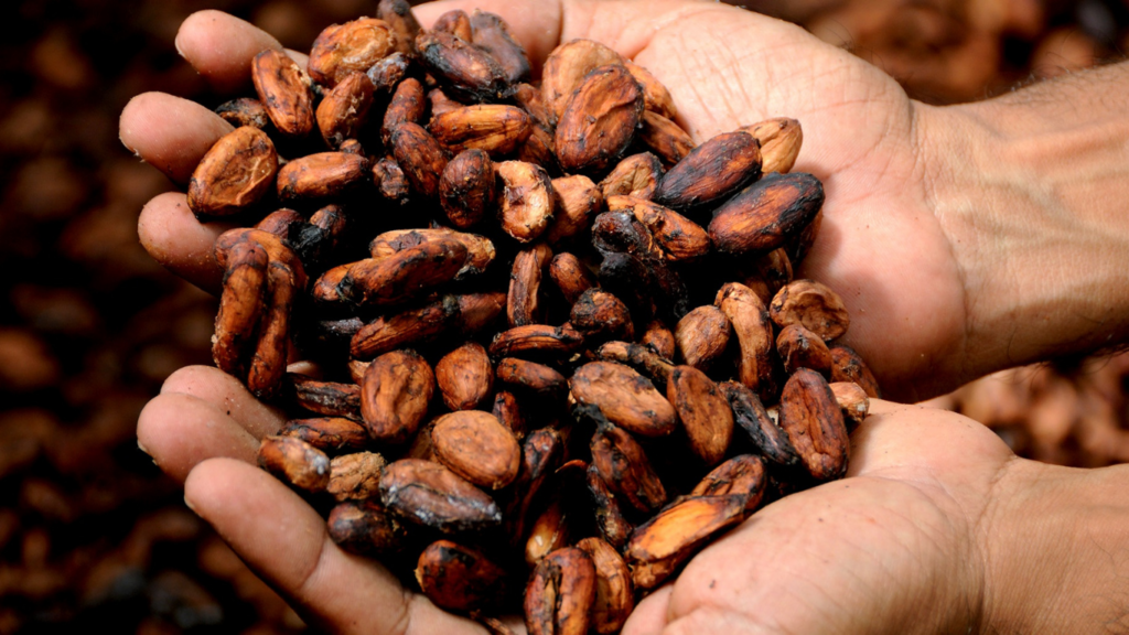 Cacao, often labelled a “super-food” and used in our Soldier Plus Supplements