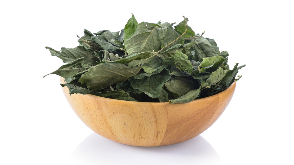 Dried Jiaogulan leaves in a wooden bowl, a great anti-oxidant and used in our health supplement capsules 